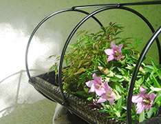 お花も飾れます