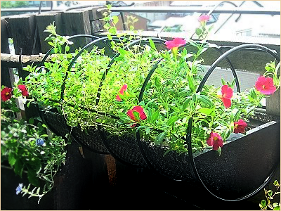 使い方　ベランダ編　特許商品　岐阜　インテリア　アレンジ